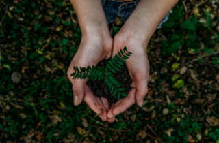 ¿Qué es el cero neto y por qué es fundamental conocerlo para una RSC enfocada al medioambiente?