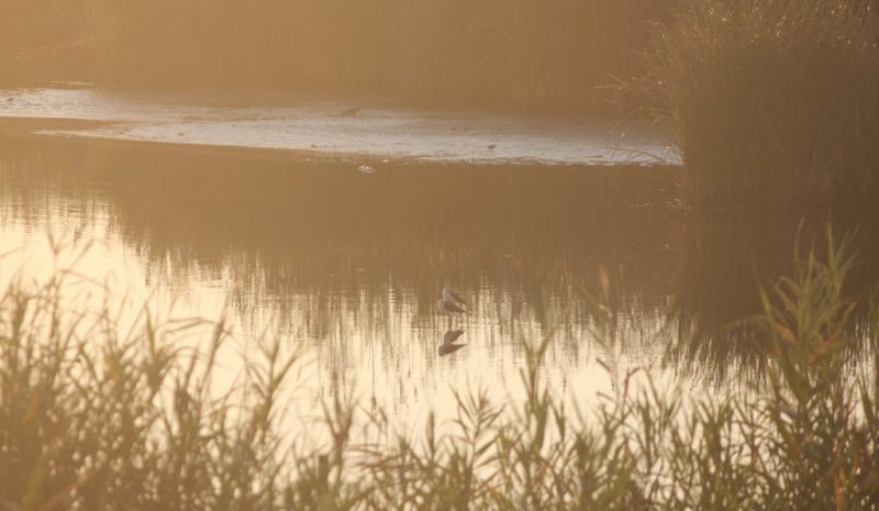 LIFE19 Renaturwat, el proyecto europeo que pretende mejorar la calidad del agua en entornos rurales