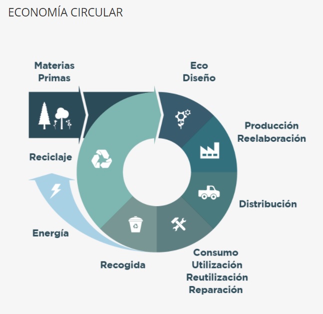 proyecto circularcarbon