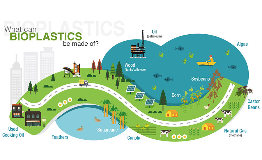 bioplasticos cadena