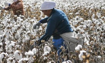 La UE quiere sancionar a las empresas que vulneren derechos humanos y ambientales