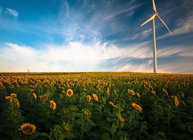 ¿Qué es la eficiencia energética y qué beneficios tiene para tu compañía?