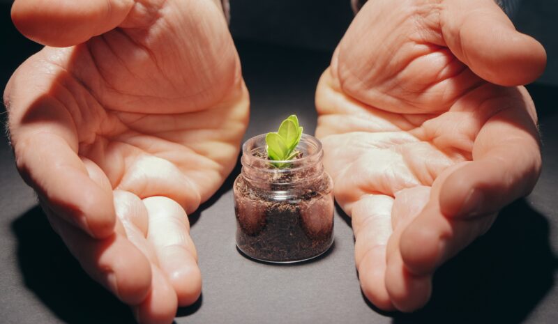 La gestión ambiental y el desarrollo sostenible