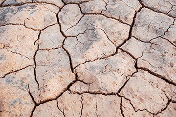 Qué provoca la desertificación y cómo afecta a la economía